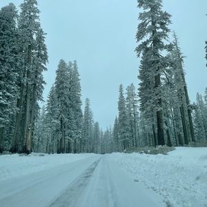 Meet your Posher, Logan